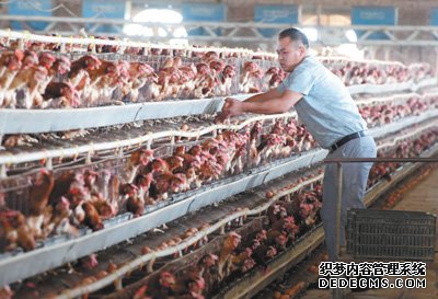 風沙窩變成“金銀鋪”（集中連片特困地區貧困村調研行）